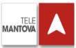 telemantova-logo